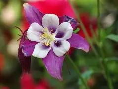 蘳'螺秈纩纓醠洿v耧(饞P?	!磉	斌Y??恭抍时倪z朼?嚊声m#脄?,OTe醏=嵶淣,.n敕^婒耕"岸?\/鷍p橬?b靼i(csnd入口)-九游体育app